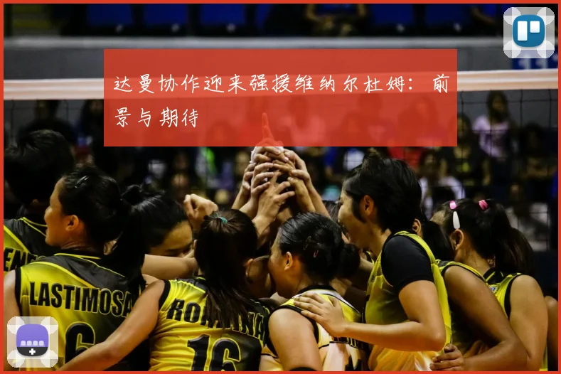 达曼协作迎来强援维纳尔杜姆：前景与期待
